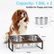Elevated Tilted Double Stainless Steel Dog Cat Bowls, Raised Pet Food Water Feeding Stand for Small Puppies & Kittens